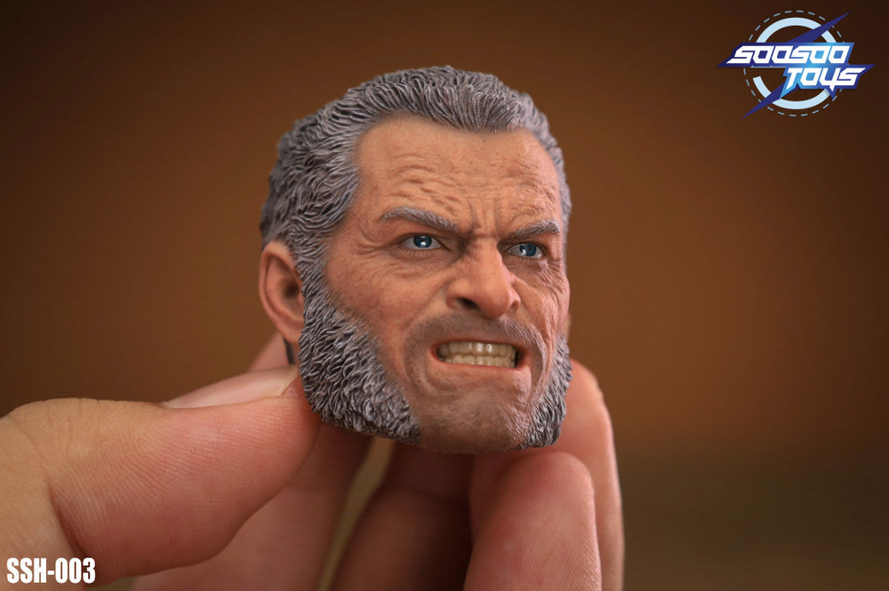 Soosootoys SSH-003 1/6 scale Old Angry Logan 盧根頭雕