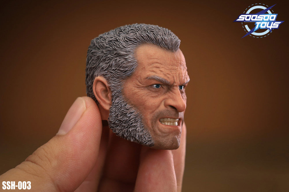 Soosootoys SSH-003 1/6 scale Old Angry Logan 盧根頭雕