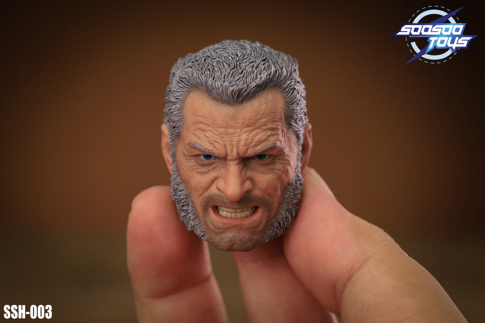 Soosootoys SSH-003 1/6 scale Old Angry Logan 盧根頭雕